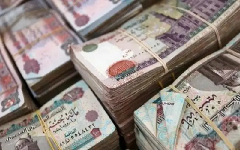 3 منح مالية تقدمها «التأمينات» للمرأة خارج المعاش الشهري.. اعرفيها